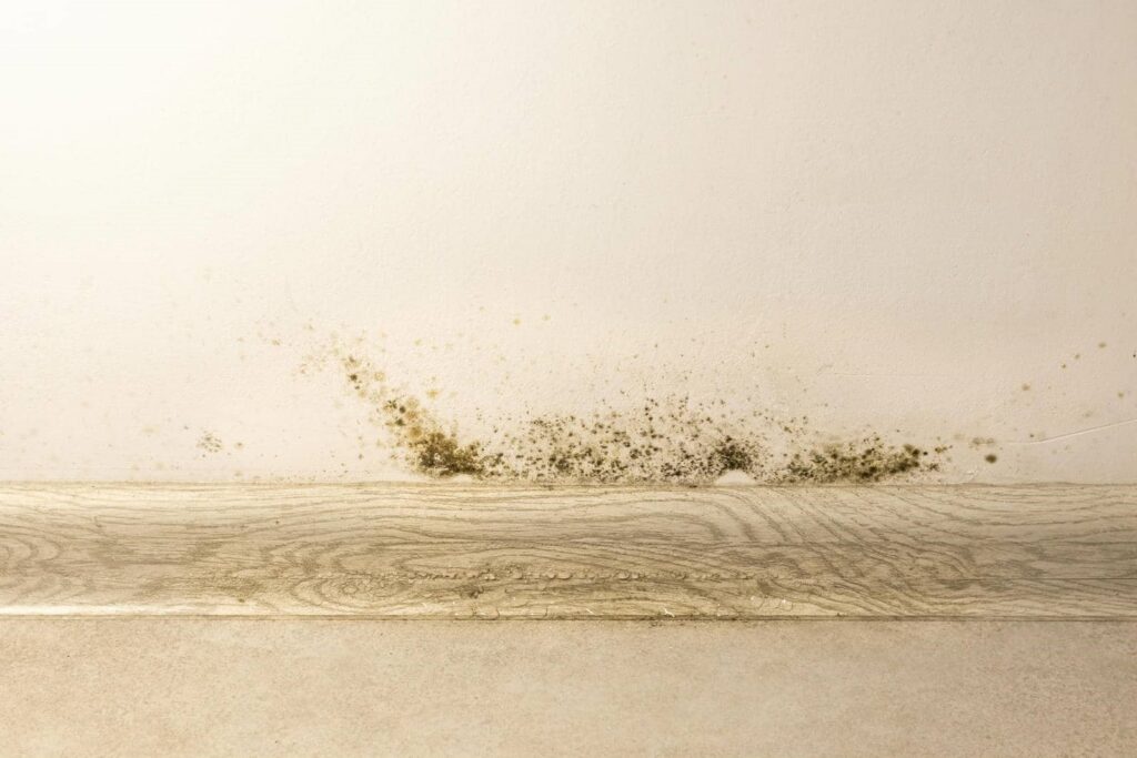 Black mold growing on a beige wall above a wooden baseboard.