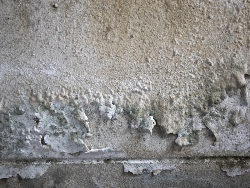 Peeling and cracked paint on a rough, weathered wall surface.
